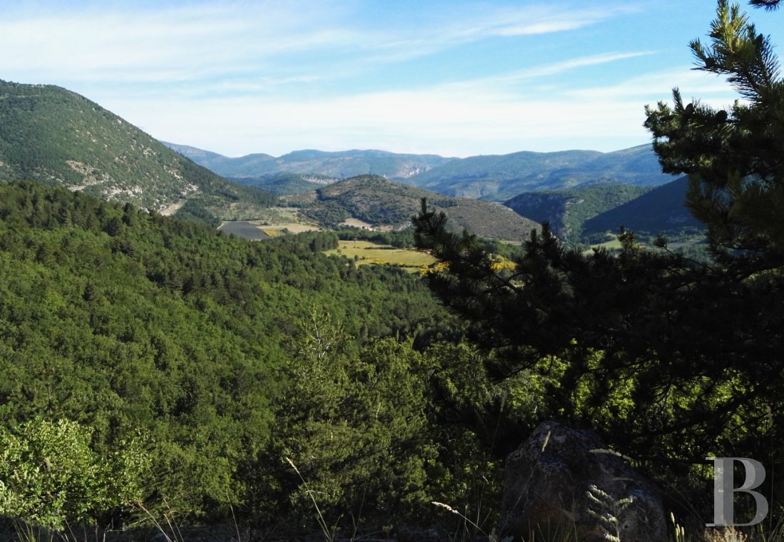 immobilier chateaux paca   - 27