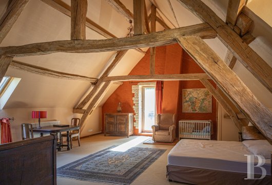 France mansions for sale burgundy   - 13