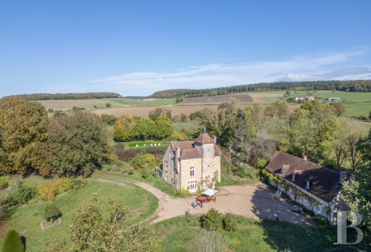 burgundy - An 18th-century manor with a swimming pool, outhouses, including a stable and a long 19th-century annexe, and 6.5 hectares of grounds with a river, nestled in Burgundy