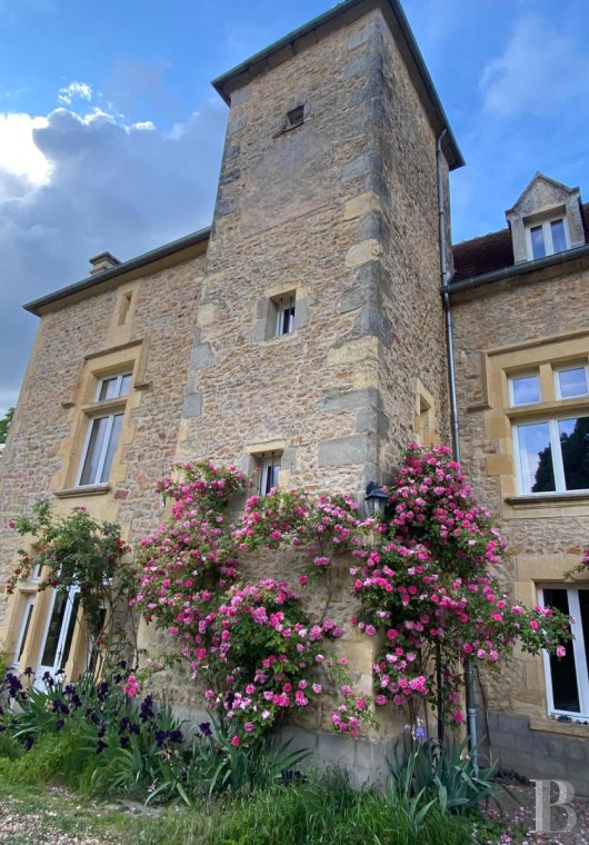 France mansions for sale burgundy   - 3