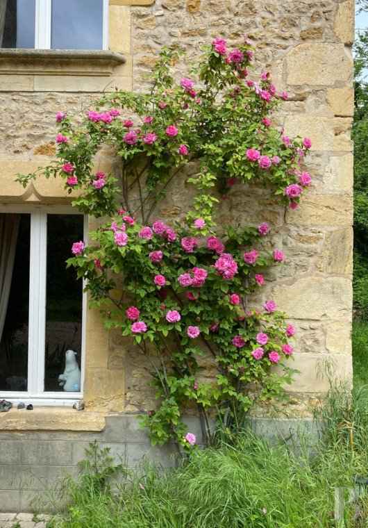 manoirs a vendre bourgogne   - 4
