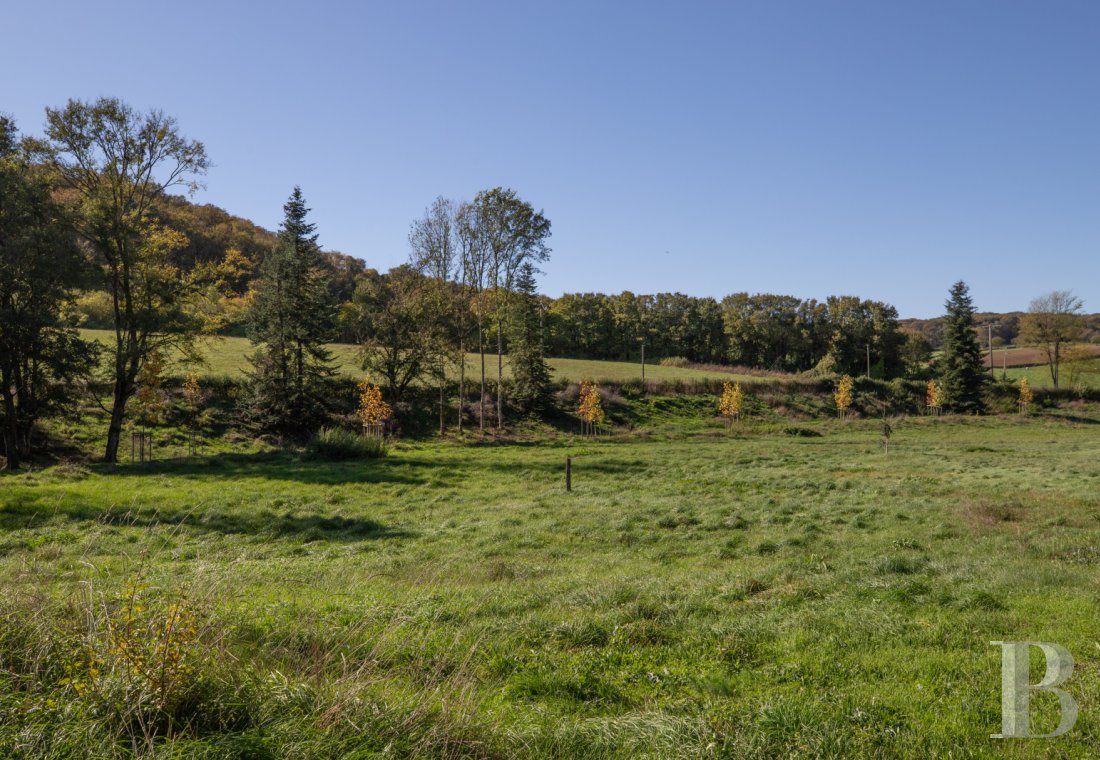 France mansions for sale burgundy   - 16