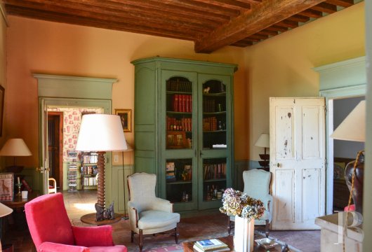 chateaux for sale France auvergne   - 13