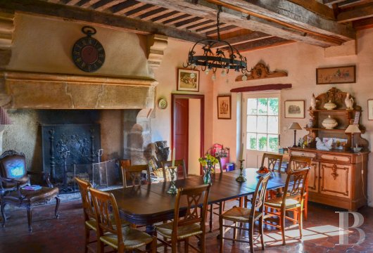 chateaux for sale France auvergne   - 15