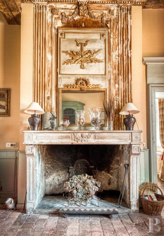 chateaux a vendre auvergne   - 11