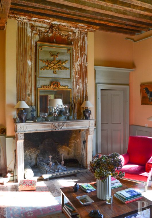 chateaux for sale France auvergne   - 12