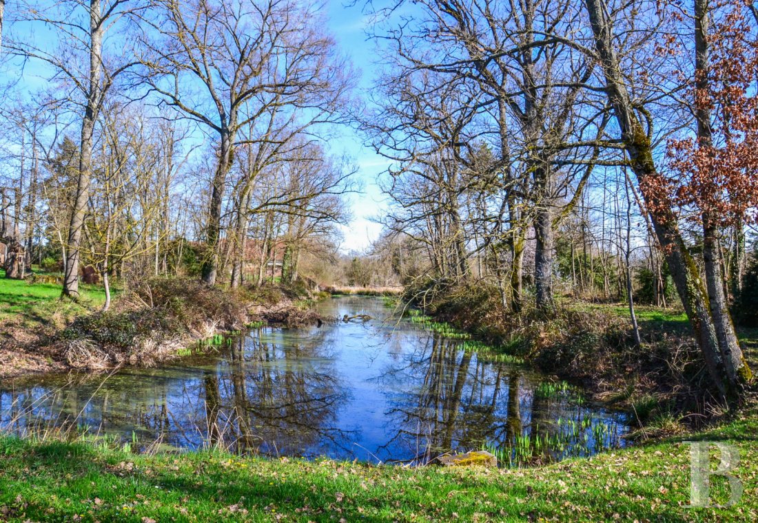 chateaux for sale France auvergne   - 22