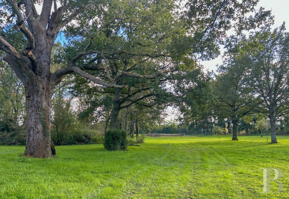 chateaux for sale France auvergne   - 21