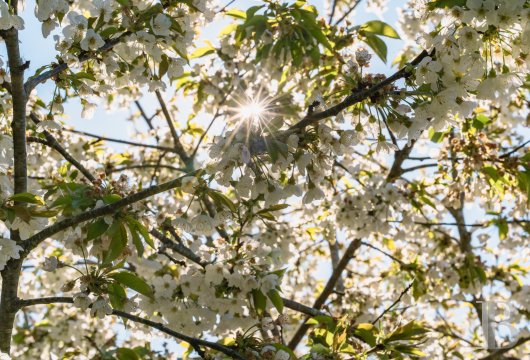 character properties France center val de loire   - 18