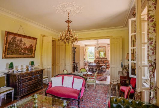 France mansions for sale burgundy   - 7