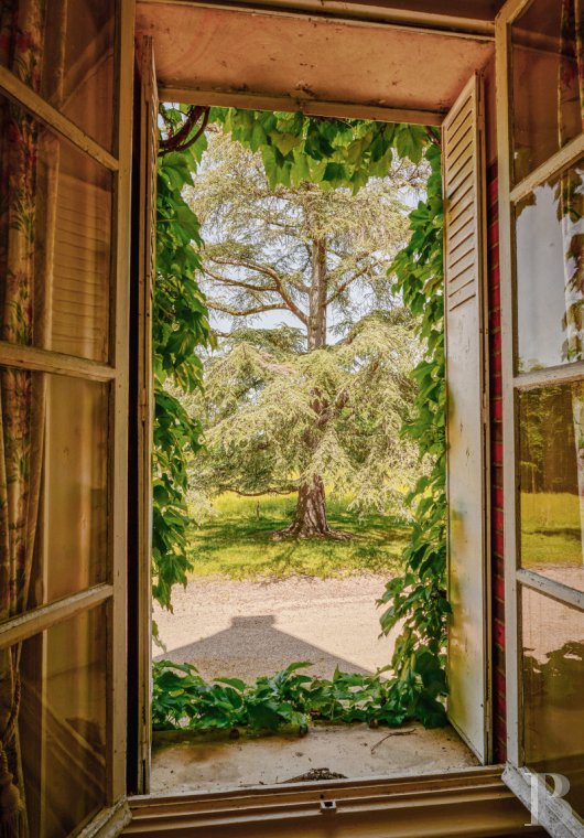 France mansions for sale burgundy   - 10
