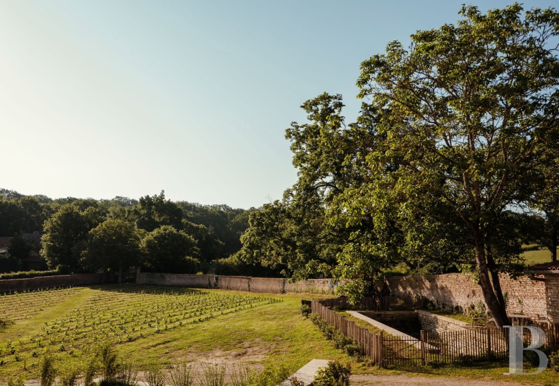 En Saône-et-Loire, dans le village de Lancharre, deux maisons du 17e siècle dans un domaine dédié à la villégiature - photo  n°27