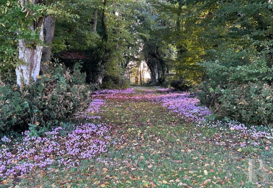 Château · Sablé-sur-Sarthe