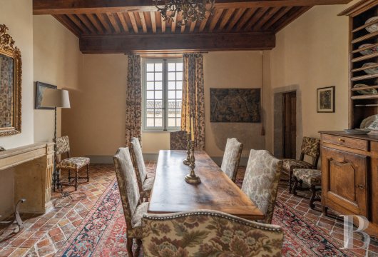 chateaux a vendre rhones alpes   - 14