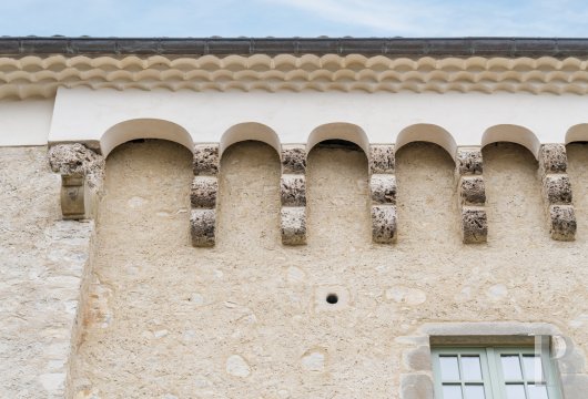 chateaux a vendre rhones alpes   - 8