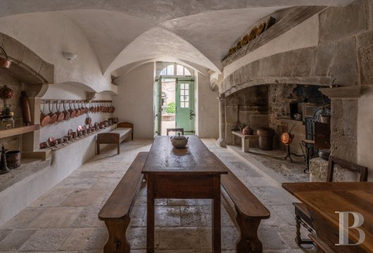 chateaux a vendre rhones alpes   - 20