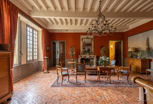 chateaux a vendre rhones alpes   - 16