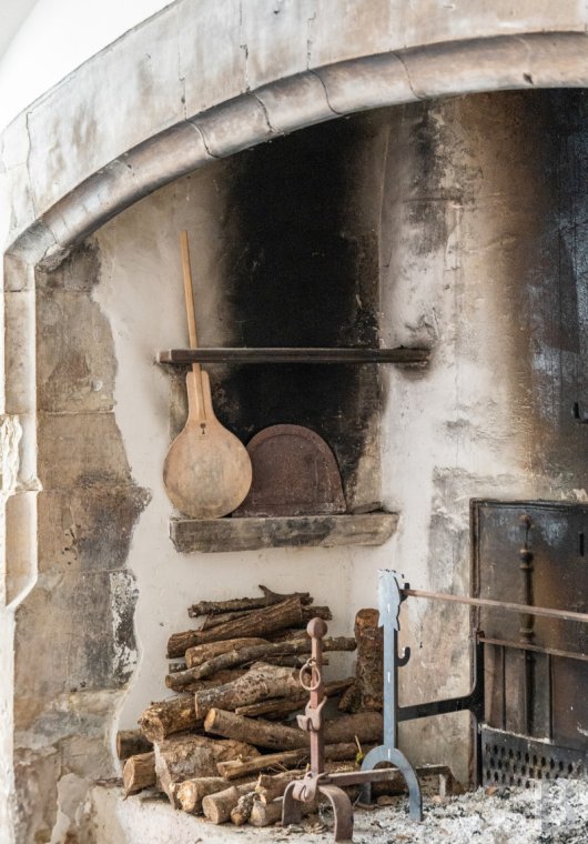 chateaux a vendre rhones alpes   - 21
