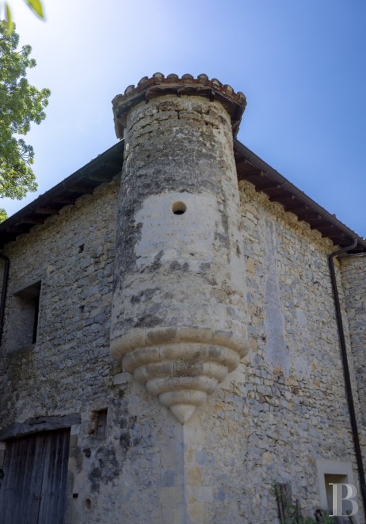 chateaux a vendre rhones alpes   - 30