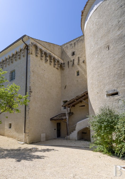 chateaux a vendre rhones alpes   - 11
