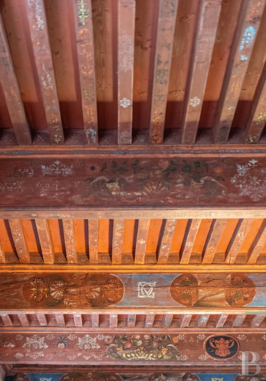 chateaux a vendre rhones alpes   - 12
