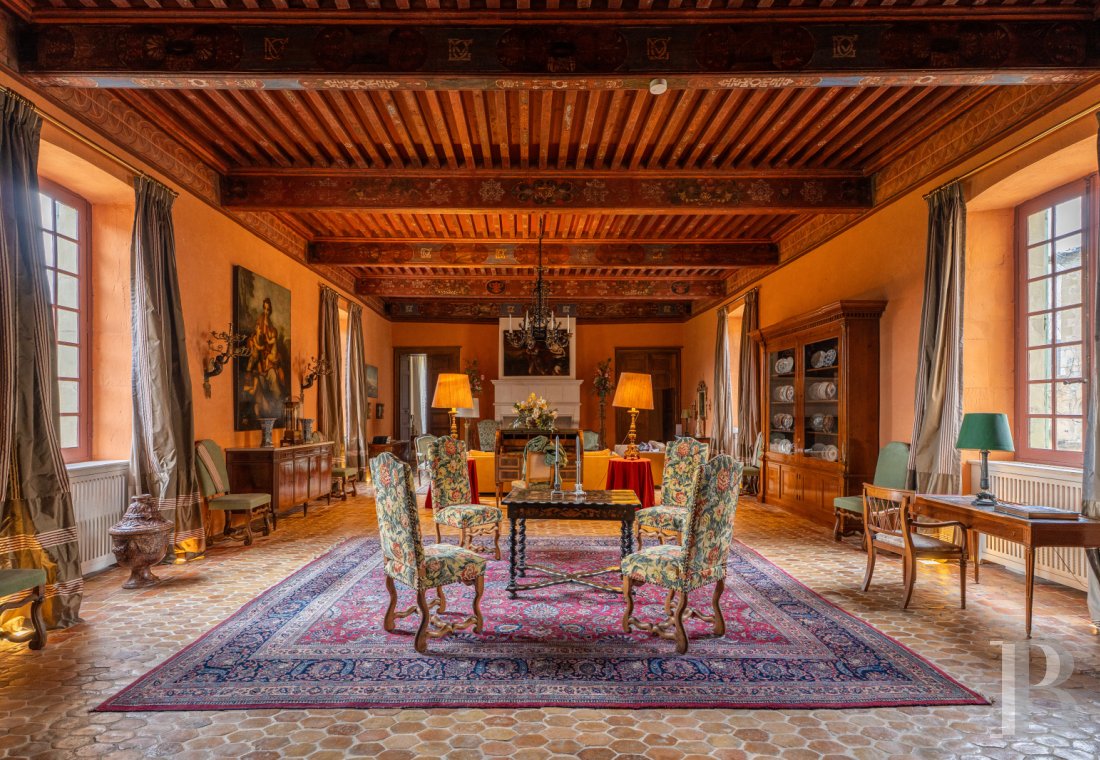 chateaux a vendre rhones alpes   - 11