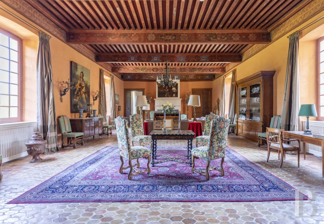 chateaux a vendre rhones alpes   - 13