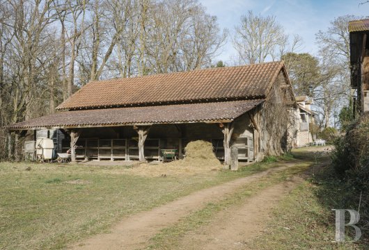 chateaux for sale France auvergne   - 13