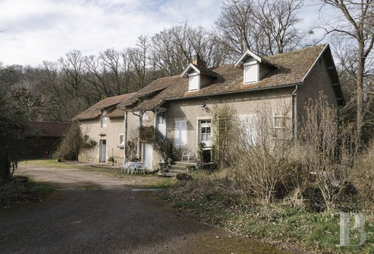 chateaux for sale France auvergne   - 10