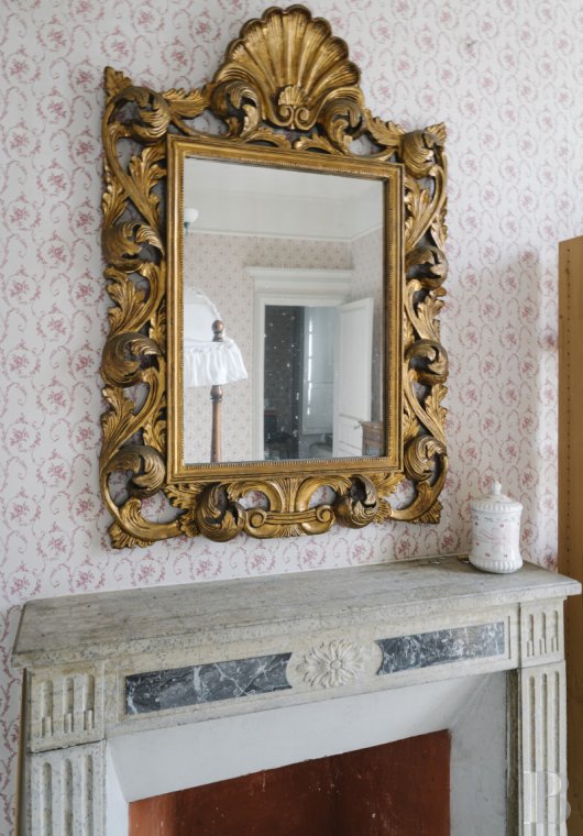 chateaux for sale France auvergne   - 6