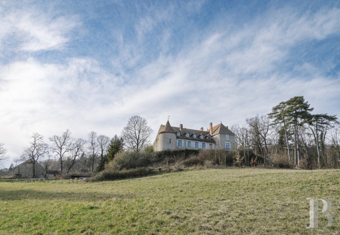 chateaux for sale France auvergne   - 17