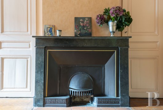 apartments for sale rhones alps   - 4