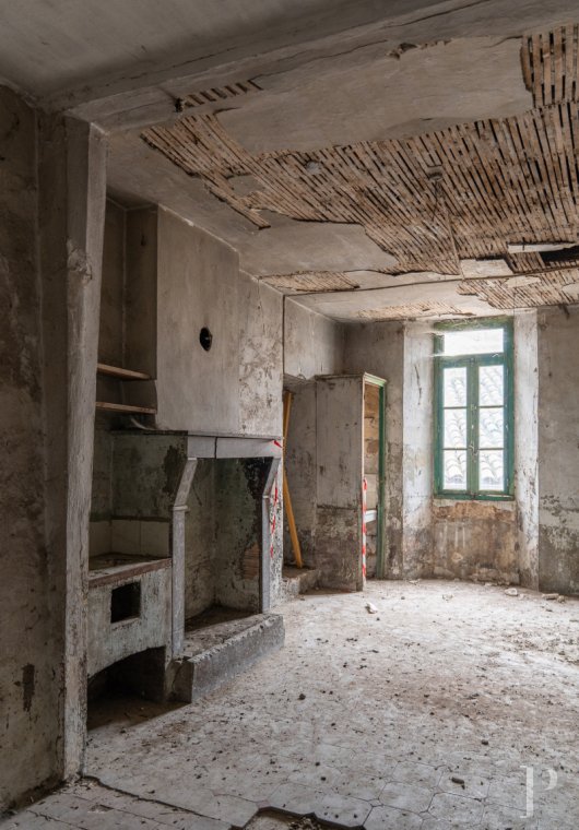 castles for sale France rhones alps   - 10
