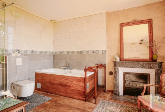maisons de caractere a vendre bourgogne   - 10