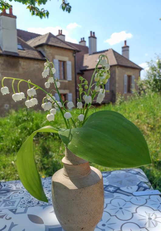 character properties France burgundy   - 3