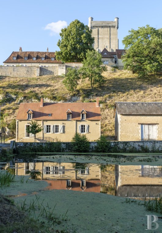 An old mill and miller's house beside a river near Argenton-sur-Creuse in the Indre department  - photo  n°32
