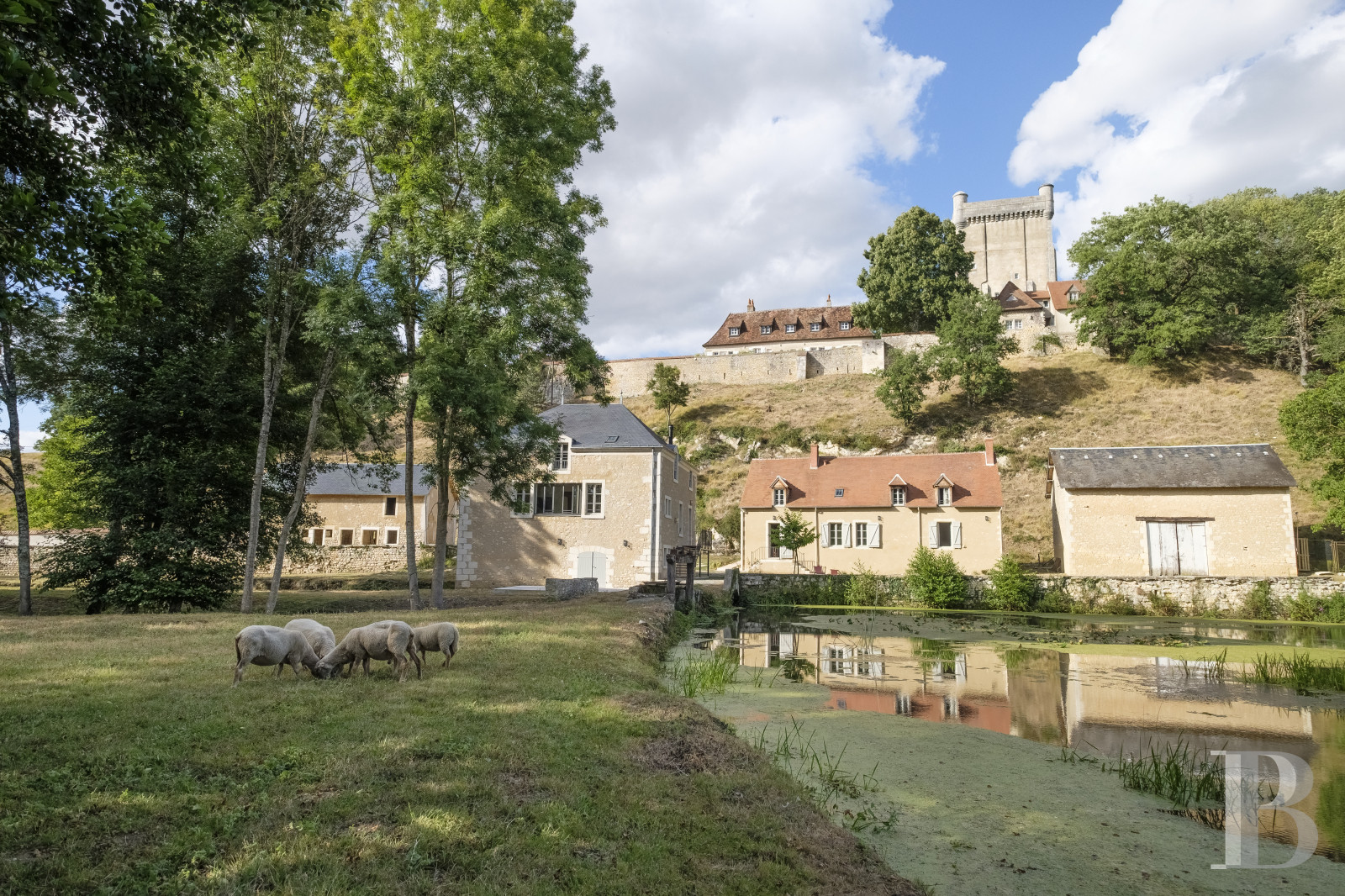 An old mill and miller's house beside a river near Argenton-sur-Creuse in the Indre department  - photo  n°1