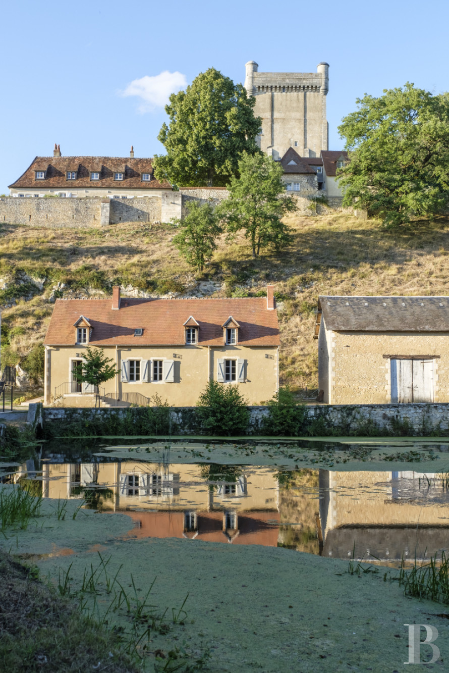 An old mill and miller's house beside a river near Argenton-sur-Creuse in the Indre department  - photo  n°32
