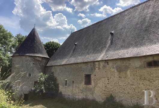 chateaux a vendre pays de loire   - 21