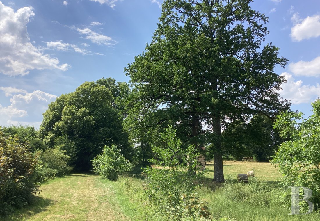 Château · La Ferté-Bernard