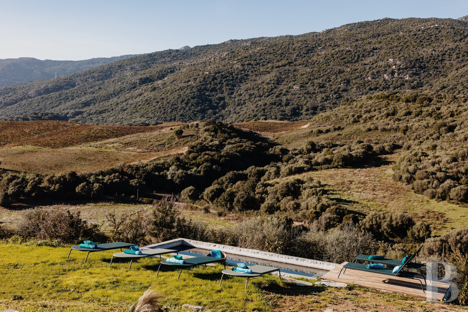 A renovated ancient wine press on the heights of Propriano, between Ajaccio and Bonifacio - photo  n°4