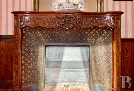 mansion houses for sale France provence cote dazur   - 17