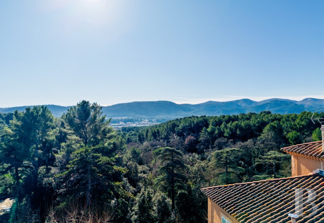 mansion houses for sale France provence cote dazur   - 13