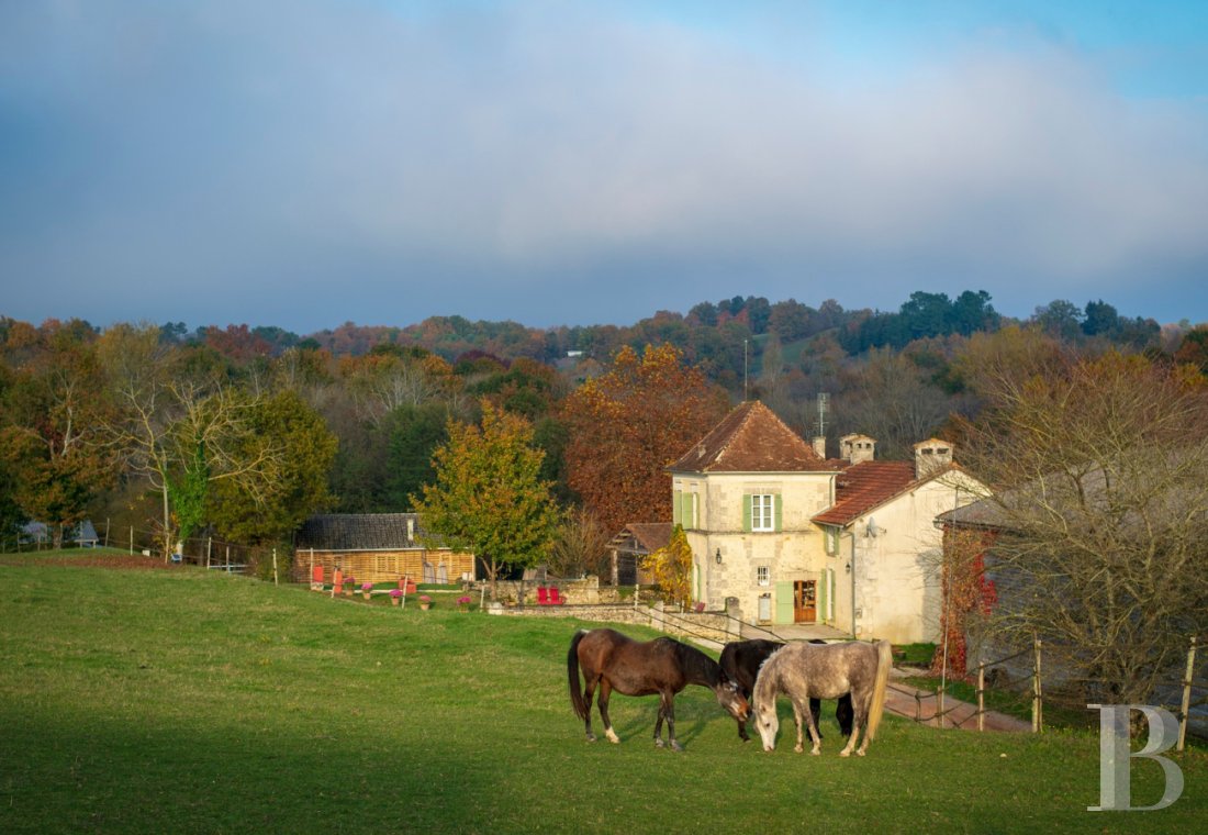 An estate dedicated to breeding Arabian thoroughbred horses near to Brantôme in the Dordogne - photo  n°33