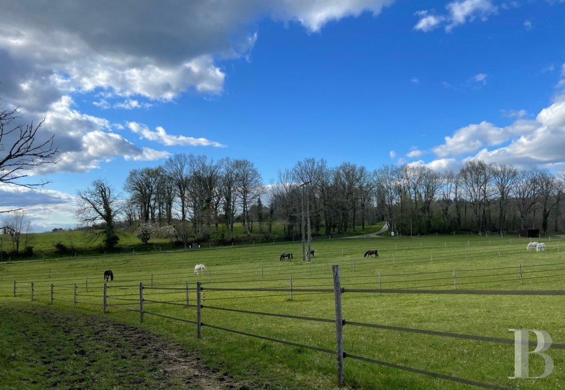 An estate dedicated to breeding Arabian thoroughbred horses near to Brantôme in the Dordogne - photo  n°35
