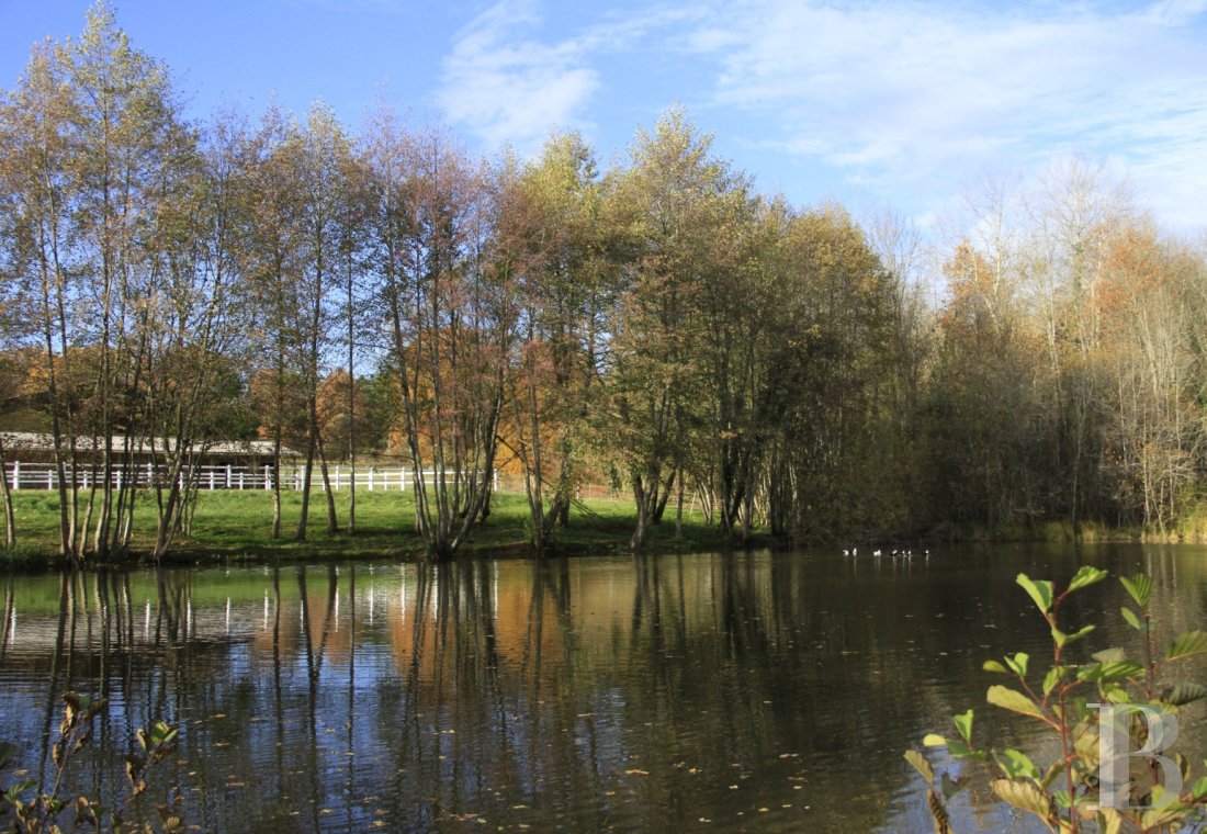 An estate dedicated to breeding Arabian thoroughbred horses near to Brantôme in the Dordogne - photo  n°30