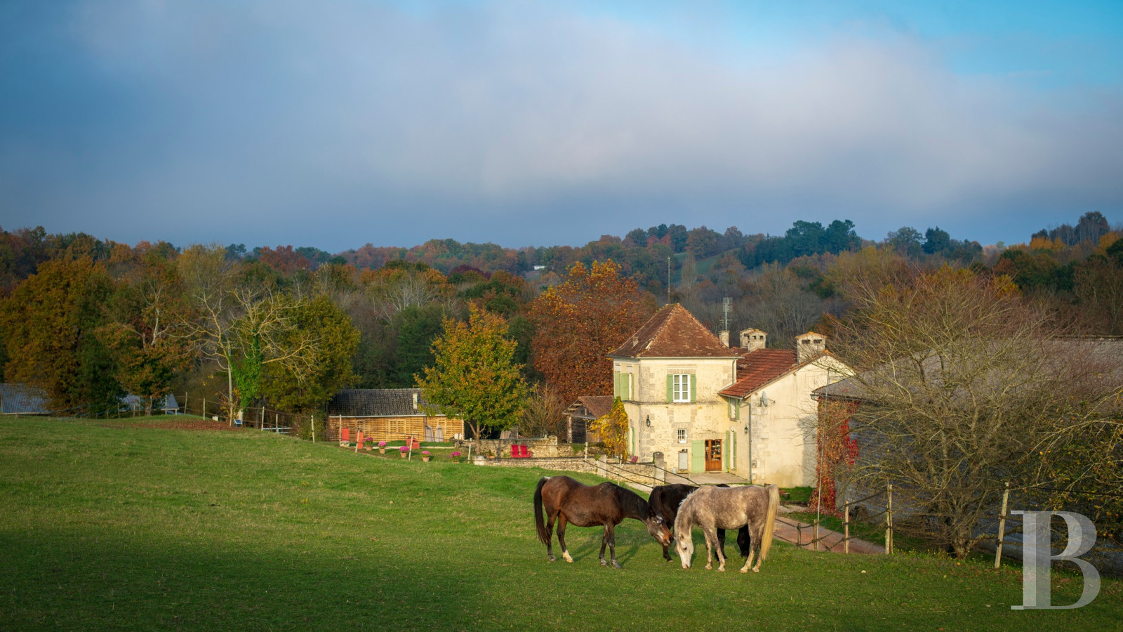 An estate dedicated to breeding Arabian thoroughbred horses near to Brantôme in the Dordogne - photo  n°33