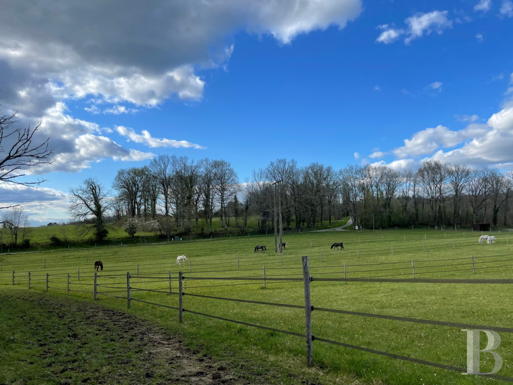 An estate dedicated to breeding Arabian thoroughbred horses near to Brantôme in the Dordogne - photo  n°35