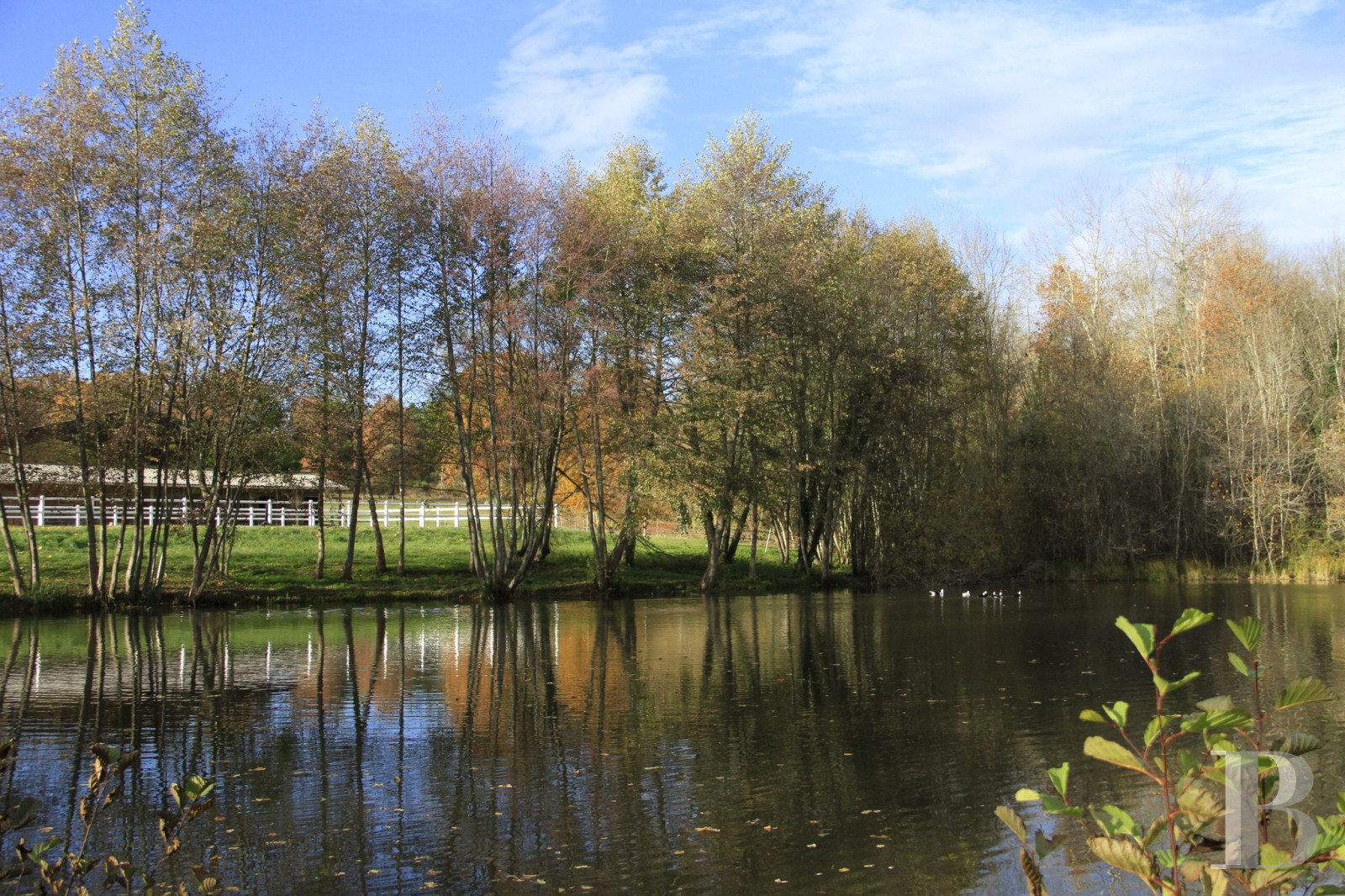 An estate dedicated to breeding Arabian thoroughbred horses near to Brantôme in the Dordogne - photo  n°30