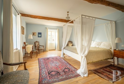 chateaux a vendre midi pyrenees   - 14
